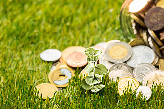 植物,硬币,玻璃,罐,钱,青草