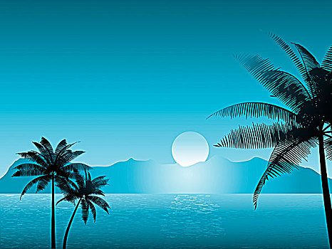 热带,场景,夜晚,棕榈树