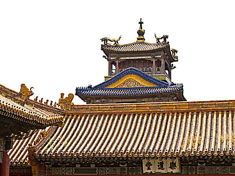 亭子,雨,花,故宫,北京,中国