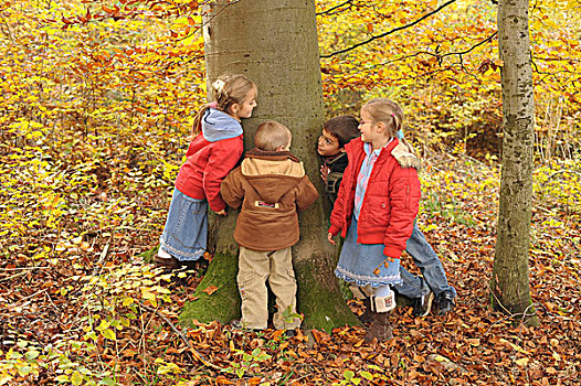 孩子,岁月,玩,树,秋天,树林