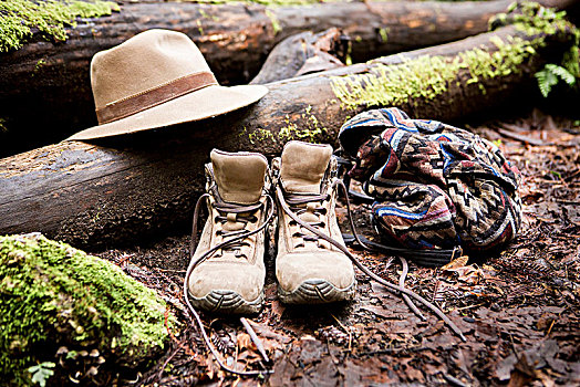 远足鞋,软毡帽,苔藓,林中地面