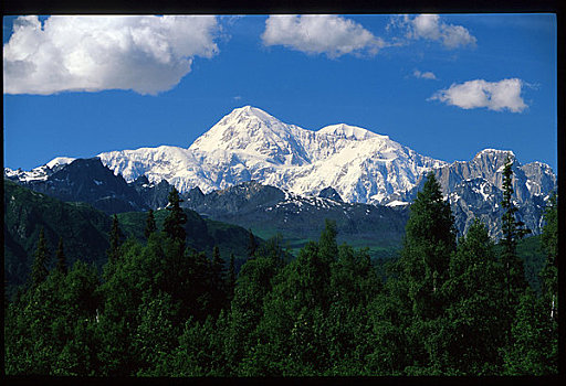 麦金立山,德纳里峰国家公园,室内,阿拉斯加,夏天,景色