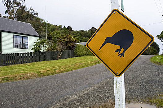 新西兰,南岛,斯图尔特岛,乡村,街景,几维鸟,标识