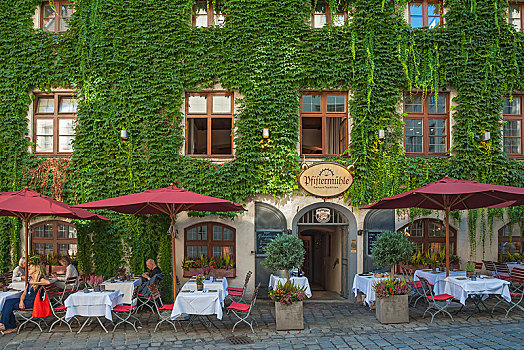 餐馆,葡萄酒,地锦,慕尼黑,上巴伐利亚,巴伐利亚,德国,欧洲