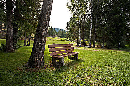 公园长椅,费尔蒙特,不列颠哥伦比亚省,加拿大