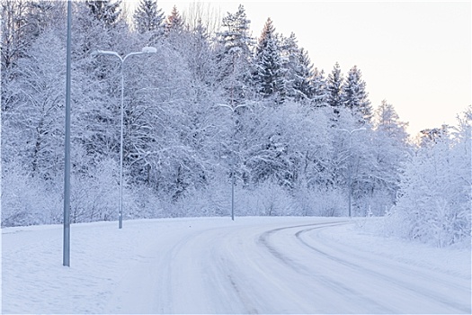 冬天,晚间,树林,道路,遮盖,雪