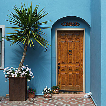 木门,房子,蓝色,墙,入口,装饰,植物,圣米格尔,瓜纳华托,墨西哥
