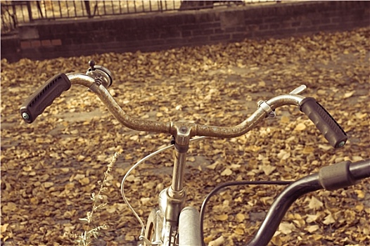 自行车,秋天,叶子