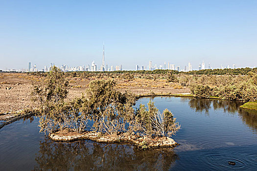 小,湖,地平线,迪拜