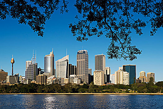 悉尼港,天际线,中央商务区,悉尼,澳大利亚