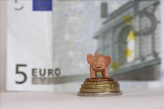 橡胶,猪,钞票,背景