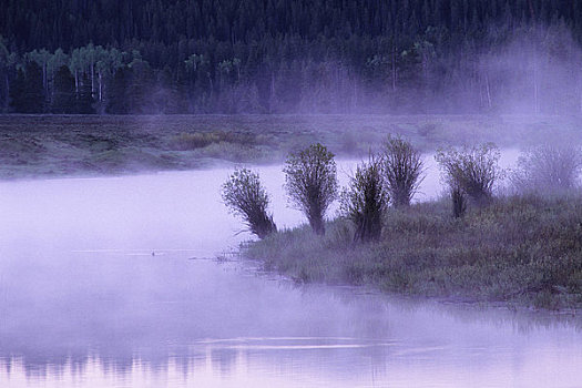 美国,怀俄明,大台顿国家公园,蛇河,牛蹄湾,雾,上升,早晨