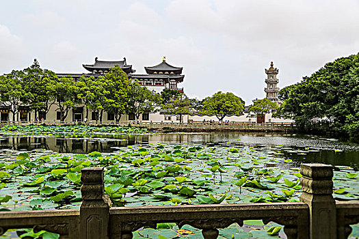 普陀山普济寺海印池