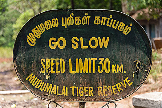 标识,限速,印度,文字,泰米尔纳德邦,亚洲