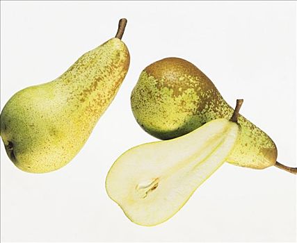 梨,品种