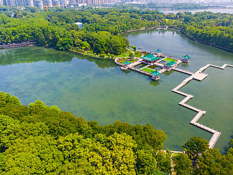 武汉,东湖,风景区,夏日,航拍,风光