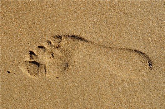 脚印,沙子,右边,脚,海滩,贝尼多姆,白色海岸,西班牙