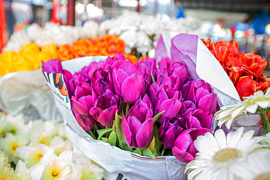 郁金香,花,市场