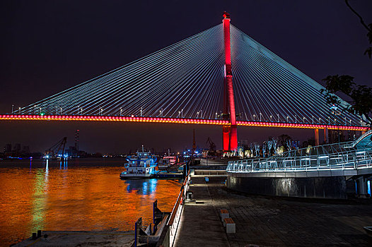 新华滨江杨浦大桥夜景