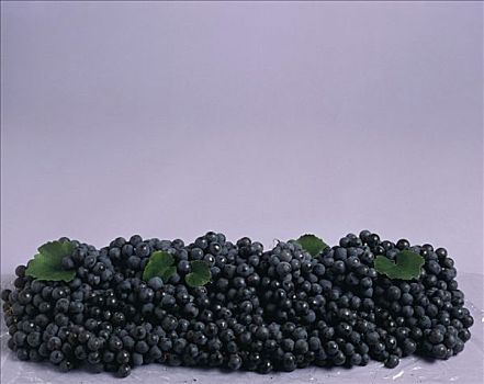 许多,黑葡萄