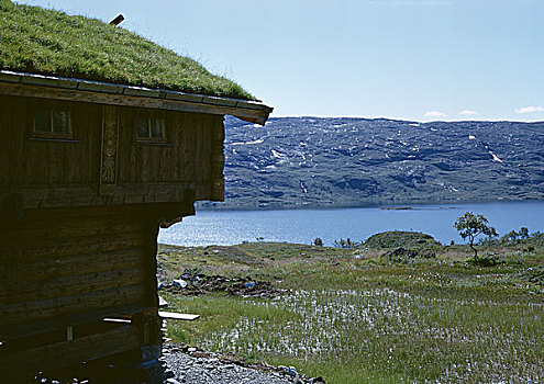 挪威,小屋,靠近,水