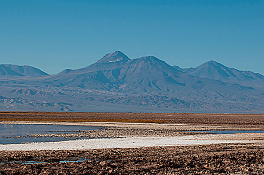 泻湖,盐湖,阿塔卡马沙漠,智利