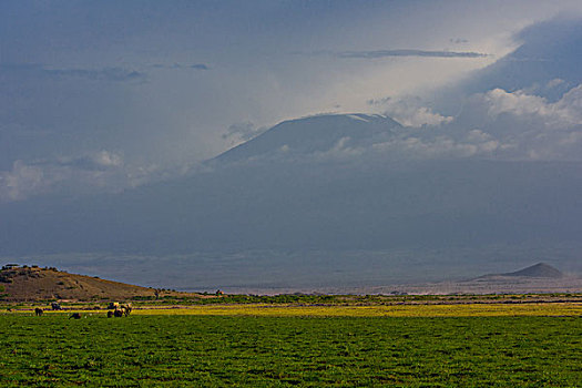 肯尼亚安波塞利国家公园乞力马扎罗山