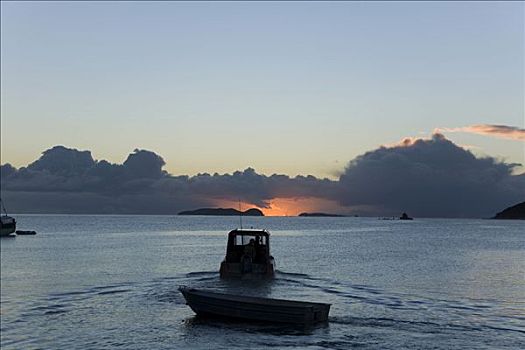 渔船,日出,湾,新西兰