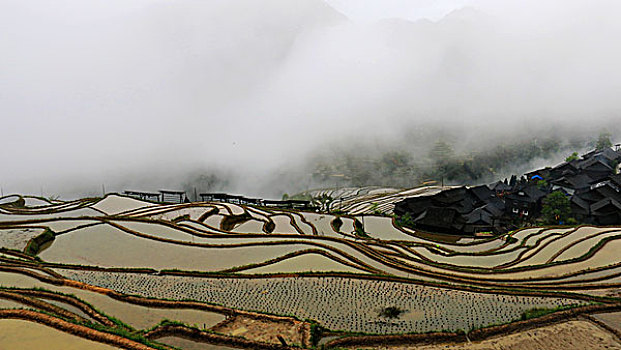 加榜梯田