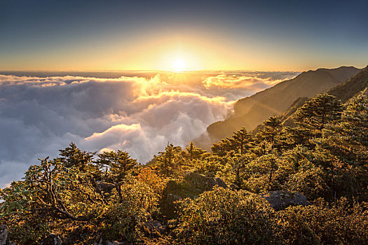 四川高原雪山云海风光