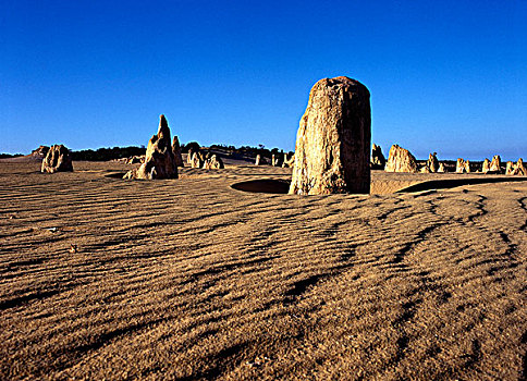 石头,排列,顶峰,南邦国家公园,西澳大利亚州,澳大利亚