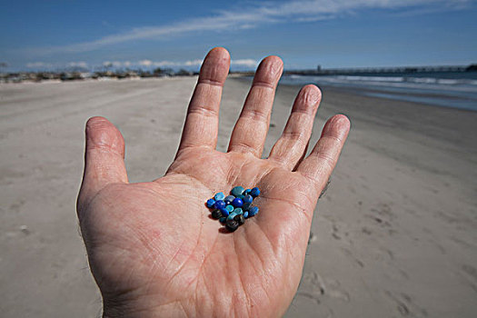 塑料制品,树脂,材质,直径,处理,发现,道路,沿岸,水系,海洋,海滩,加利福尼亚,美国