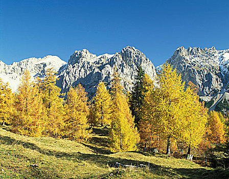 山,风景,萨尔茨堡州,奥地利,欧洲