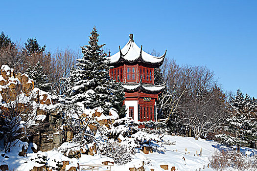 中国,亭子,雪中,植物园,蒙特利尔,魁北克省,加拿大,北美