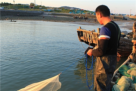 山东省日照市,捕鱼人在渔码头上天女散花,打的鱼儿真不少