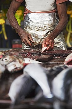 男人,切,鱼,市场,加勒,斯里兰卡