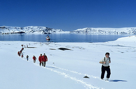 南极,欺骗岛,游客,远足,向上,斜坡,火山口