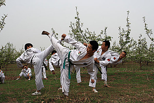 吉林省延边和龙地区跆拳道表演