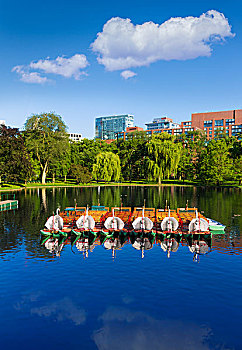波士顿公园,公共园地,天鹅,船,马萨诸塞,美国