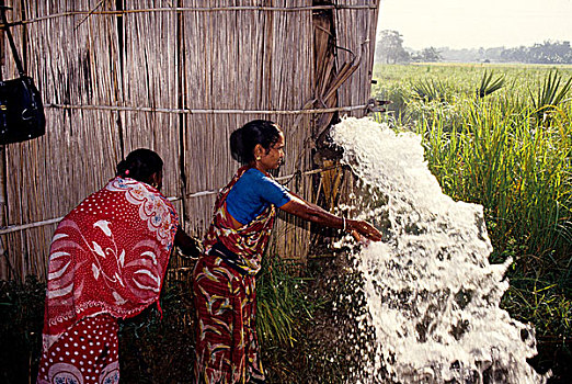 合作,灌溉,孟加拉