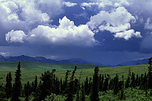 美国,阿拉斯加,德纳里峰国家公园,积雨云