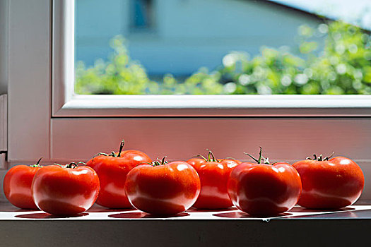 西红柿,放置,窗台,室内