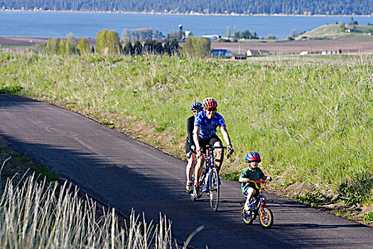情侣,骑,公路自行车赛,双人自行车,孩子,儿子,自行车道,蒙大拿