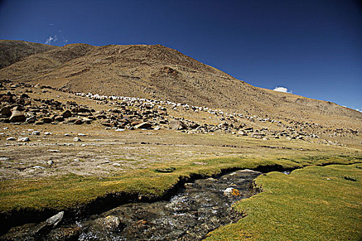 小溪,喜玛拉雅,山,拉达克,印度