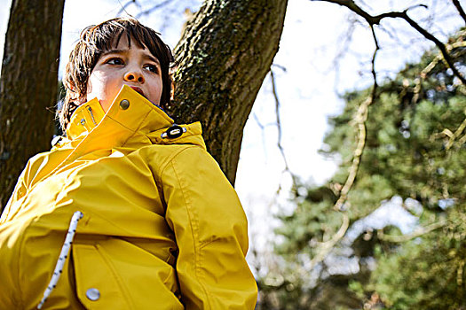 男孩,黄色,带帽衣,倚靠,公园,树