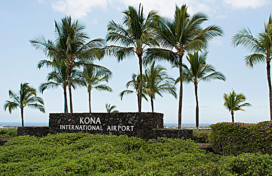 夏威夷,标识,新,国际机场,棕榈树,石头