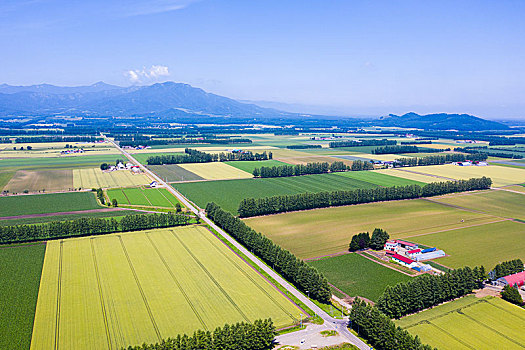 航拍,北海道,日本