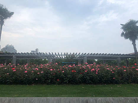 上海-世纪公园