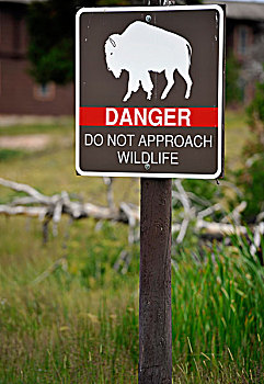 警告,标识,美洲,野牛,黄石国家公园,爱达荷,蒙大拿,怀俄明,美国