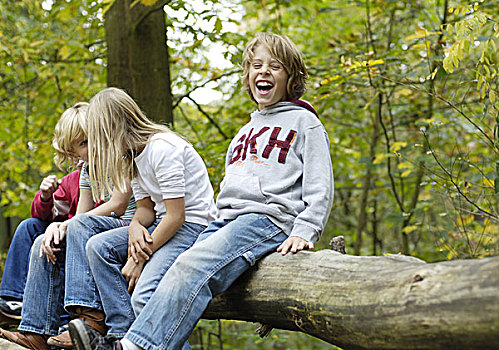 孩子,女孩,男孩,树林,愉悦,原木,坐,朋友,8-12岁,四个,群体,友谊,有趣,游戏,一起,喜悦,高兴,自然,树,树干,交谈,户外,秋天
